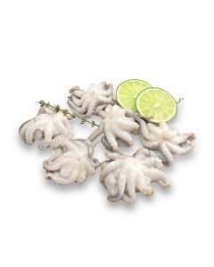 Baby octopus 40-60