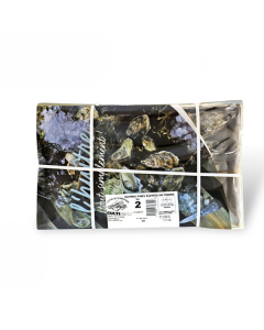 Franse oesters Nr.2 
