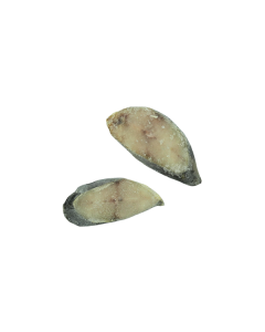 King makreel steak