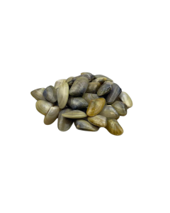 Telline