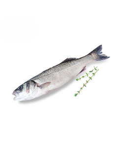 Zeebaars klein